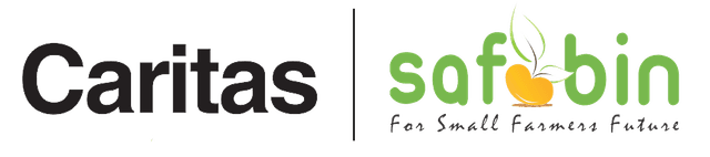 SAFBIN Logo