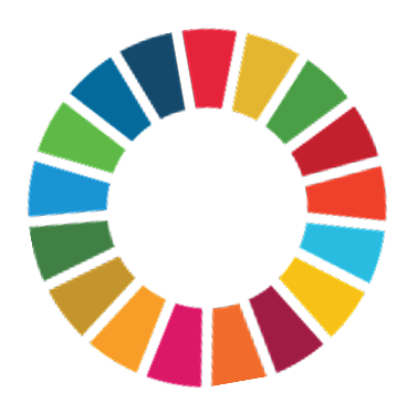 SDG Wheel